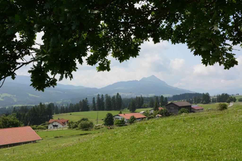 Příroda nedaleko apartmánu