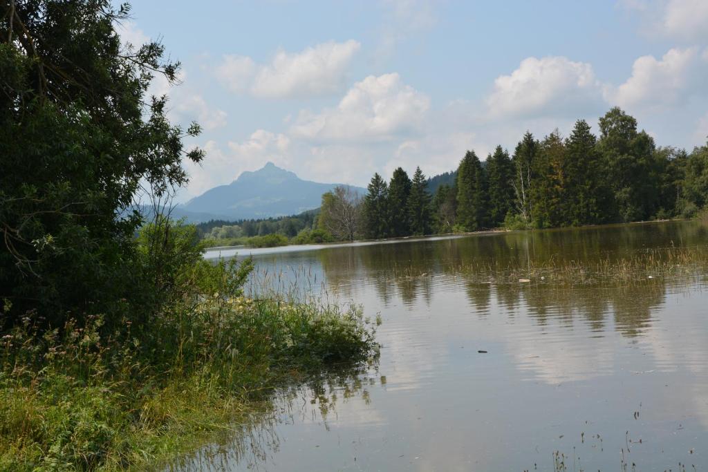 Příroda nedaleko apartmánu