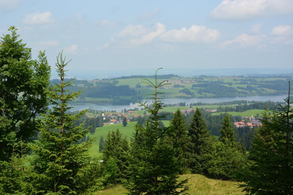 Příroda nedaleko apartmánu