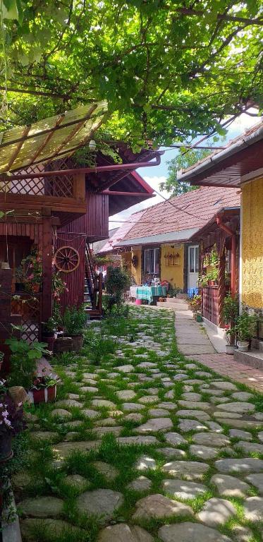 a stone walkway in front of a building with trees at Casa boierului Imbri in Cârțișoara