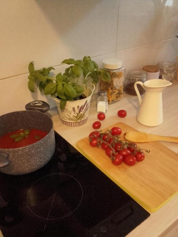a kitchen counter with a cutting board with tomatoes on it at Studio Mini Pomorska in Łódź