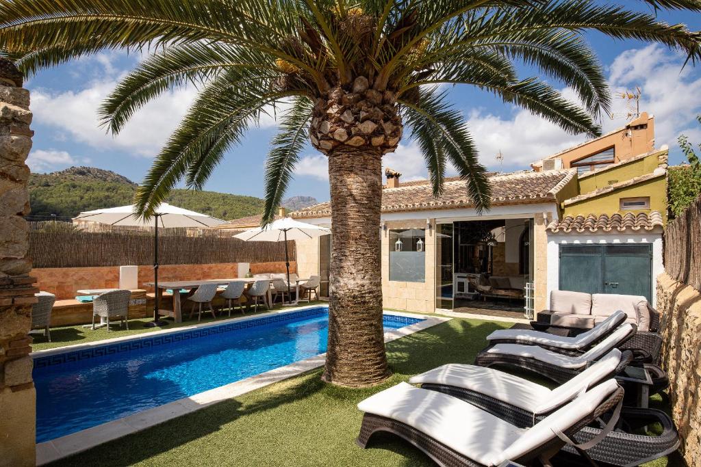 a palm tree next to a swimming pool with lounge chairs at Casa Mistela in Jalón