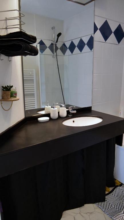 a bathroom with a sink and a mirror at Studio à 8 min à pied du Futuroscope – 1&#47;4 pers in Chasseneuil-du-Poitou
