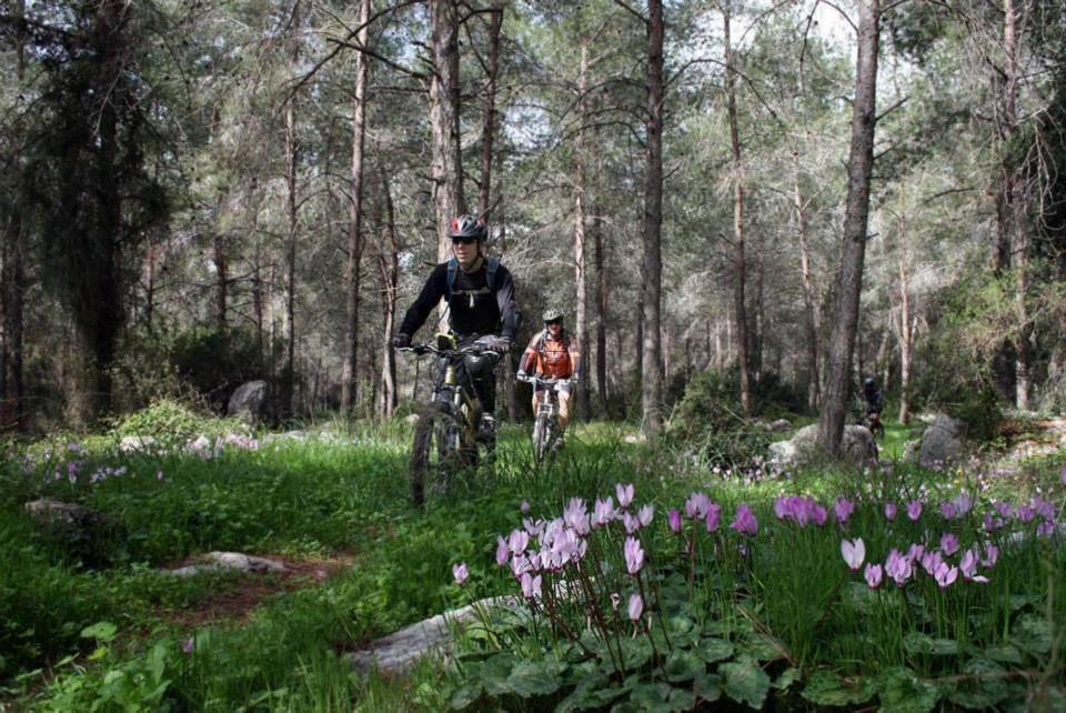 un hombre y un niño montando bicicletas en el bosque en Charming modern country unit for rent, en Tarum