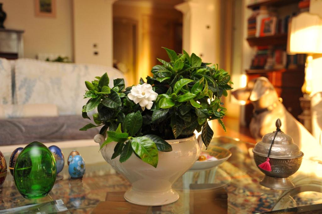 Fotografie z fotogalerie ubytování Casa Le Agavi v destinaci Portoferraio