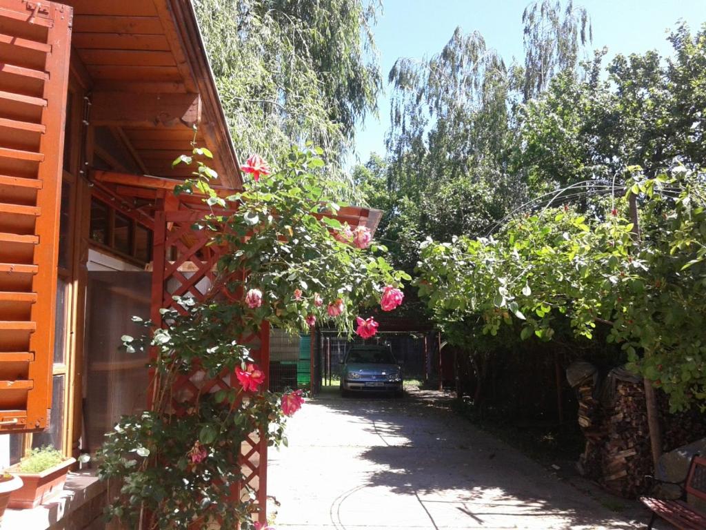 een steegje met rozen en een huis met een auto bij Mirage The Welcome Rest Villa Self Service ! Cazare muncitori Ploiești ! Workers Accommodation ! in Ţînţăreni