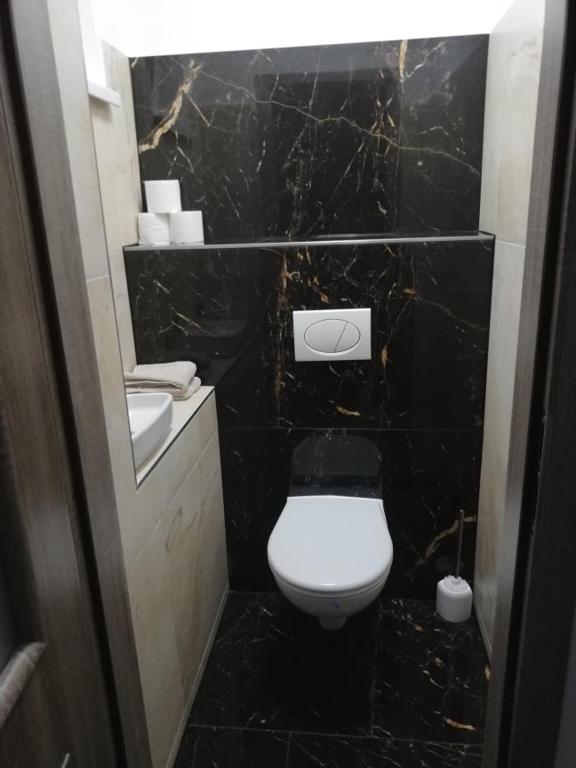 Koupelna v ubytování Apartmány Rosijo