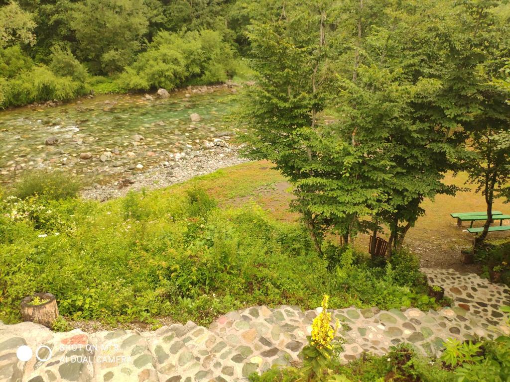 Private accommodation Kalezić - 11