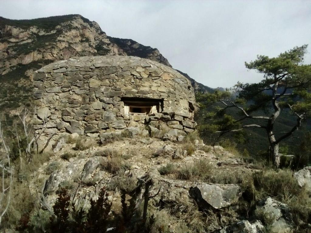 Príroda v okolí hotela