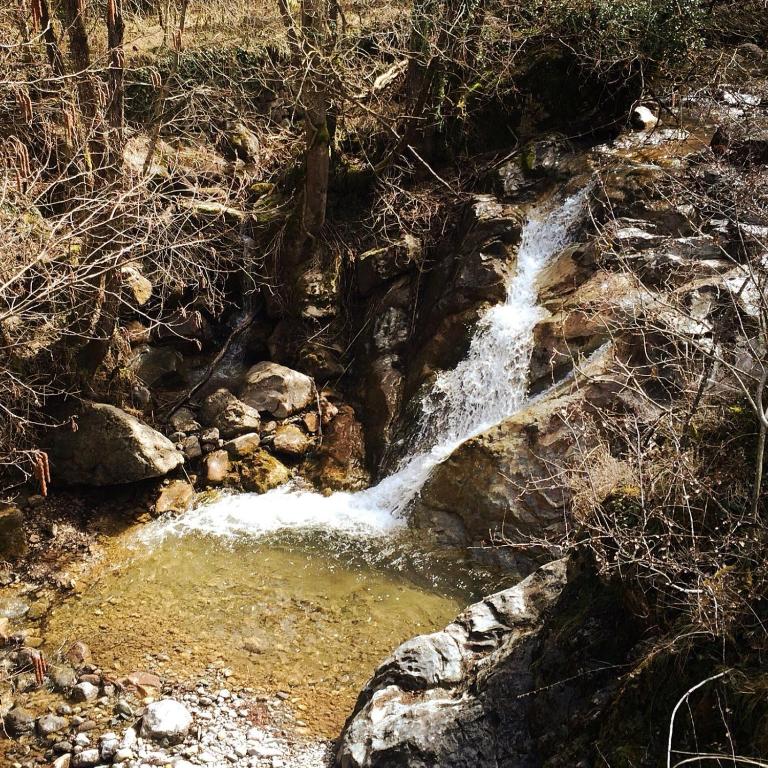 Príroda v okolí hotela