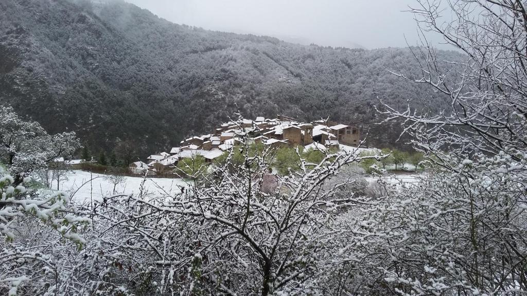 Príroda v okolí hotela