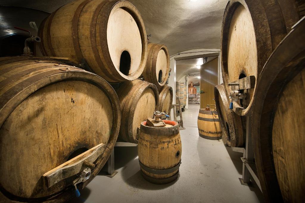 Fotografie z fotogalerie ubytování U Medvidku-Brewery Hotel v Praze