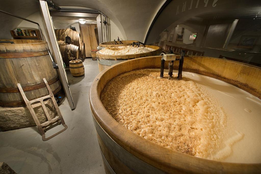 U Medvidku-Brewery Hotel - Resim 37