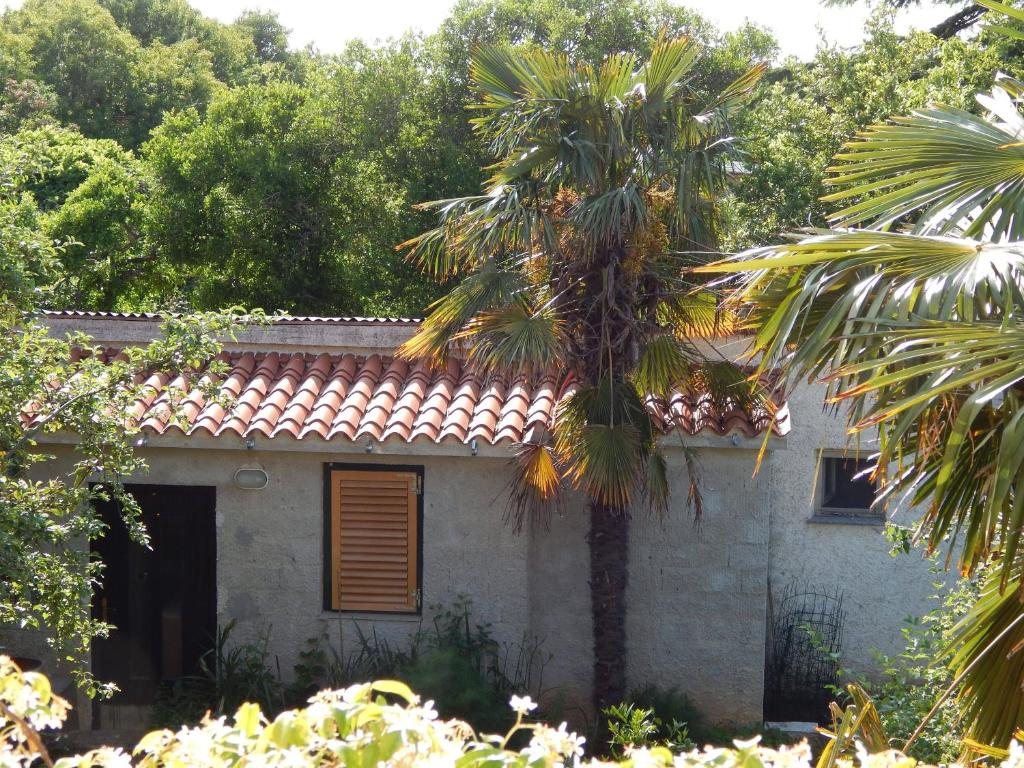 a house with a palm tree in front of it at Apartment Tomato in Pula