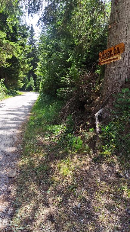 Paesaggio naturale nelle vicinanze dello chalet