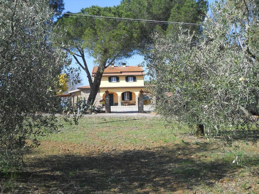 Zahrada ubytování Agriturismo Poggio Sassineri