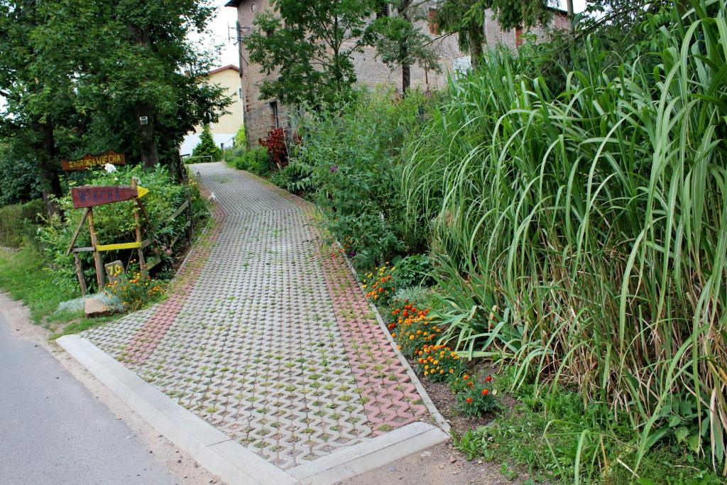 a brick path in a garden with plants at Zagroda Agroturystyczna Wiecha in Mieroszów