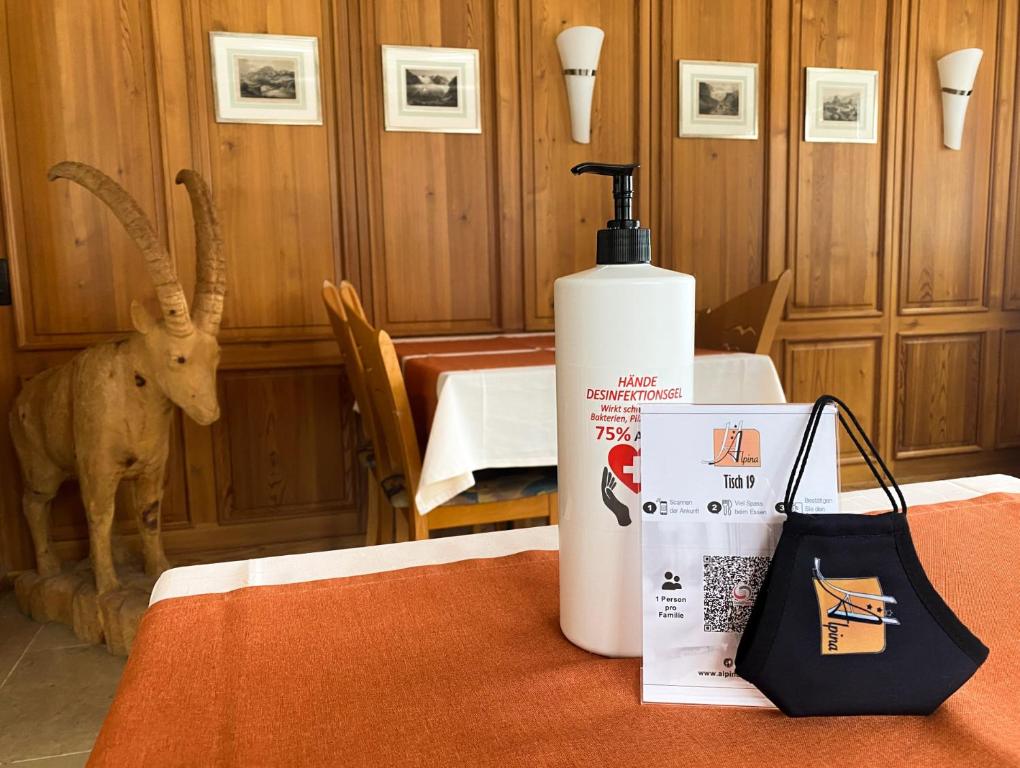 Fotografie z fotogalerie ubytování Hotel Alpina v destinaci Ulrichen