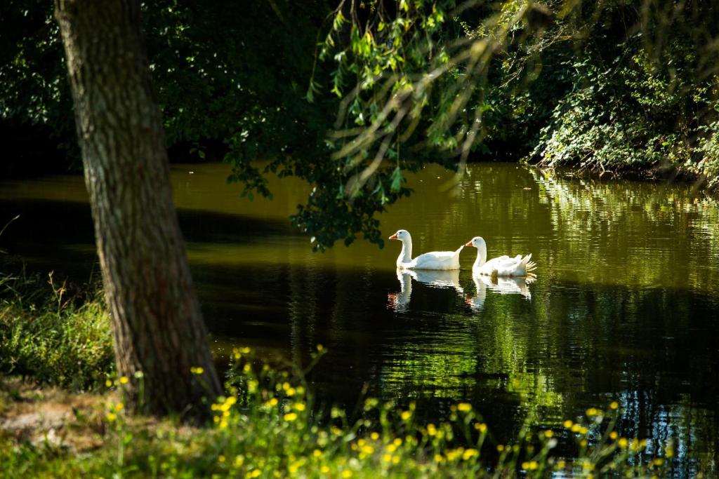 Výhled na řeku, která protéká v blízkosti venkovského domu