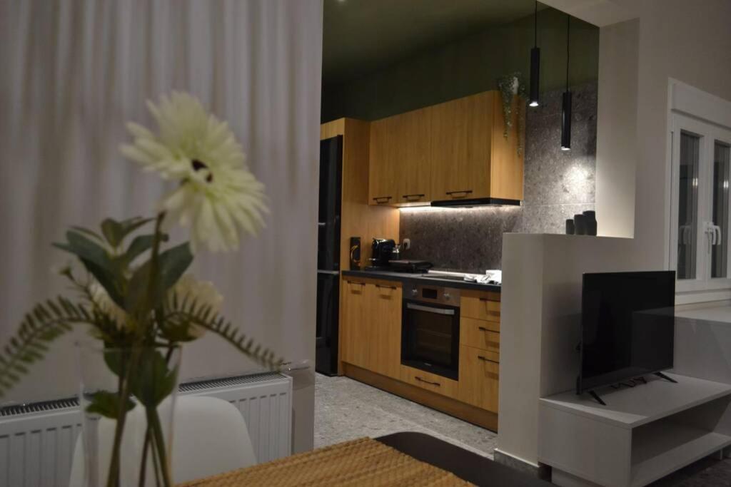 a kitchen with a table with a flower in a room at GREEN HOUSE in Karditsa