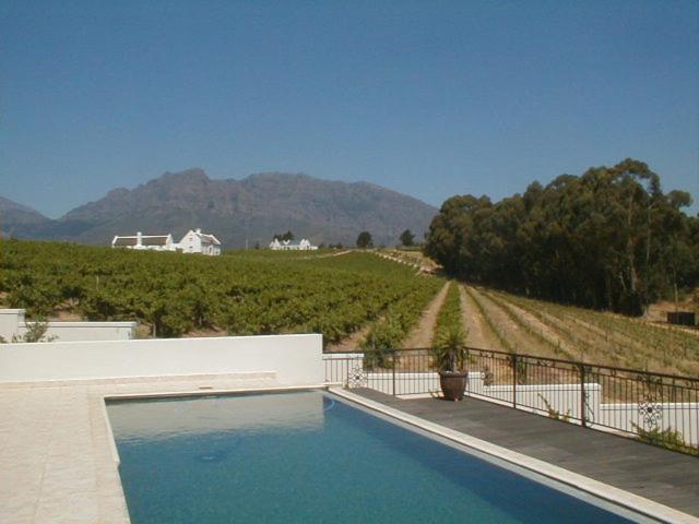 a swimming pool with a view of a vineyard at Mountain view house 9 Diemersfontein in Wellington