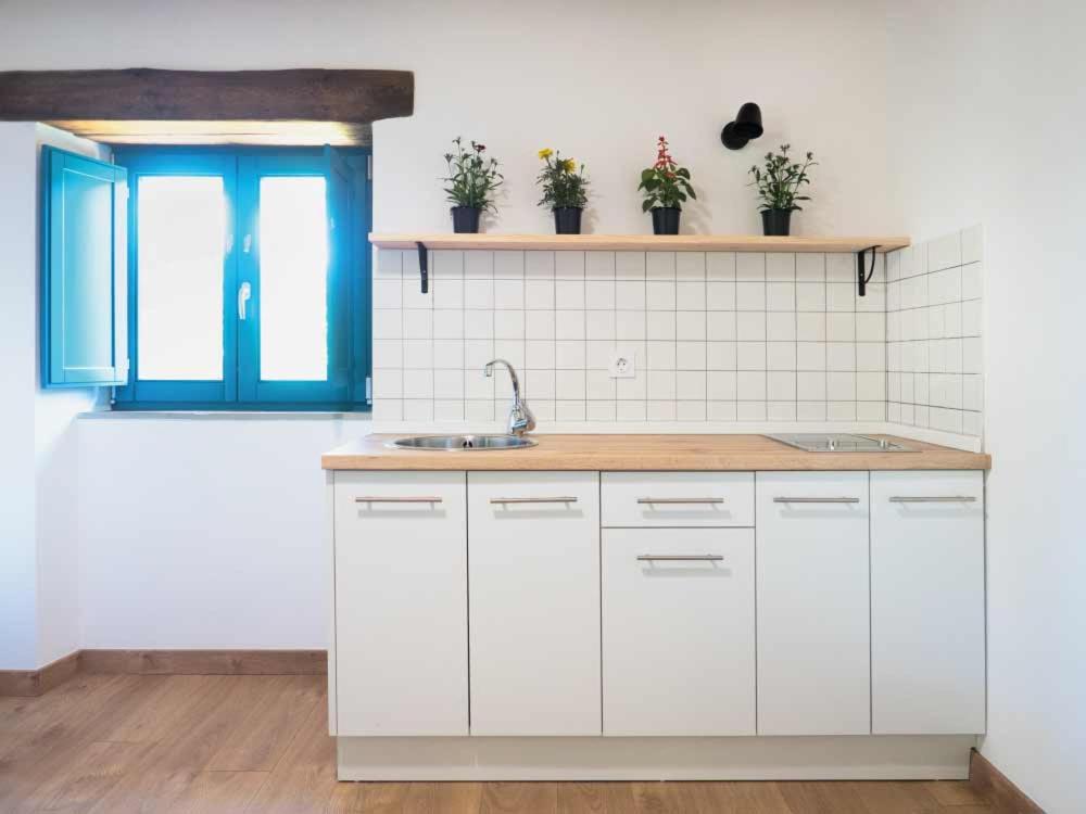 Kuchyň nebo kuchyňský kout v ubytování CASA TERRA ALMA
