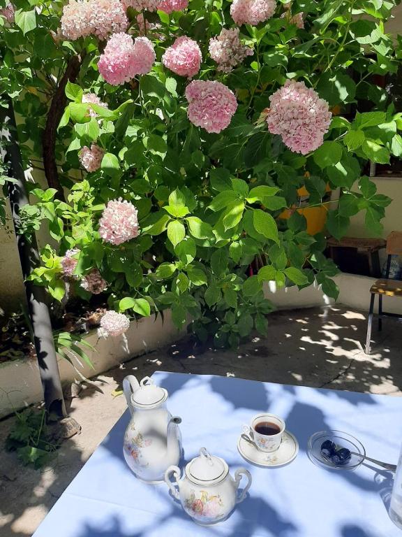 Zahrada ubytování Vrenjo GuestHouse