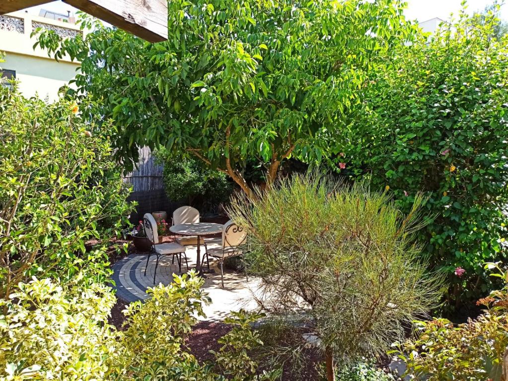 Zahrada ubytování Accommodation at Miss Daisy - להתארח אצל מיס דייזי