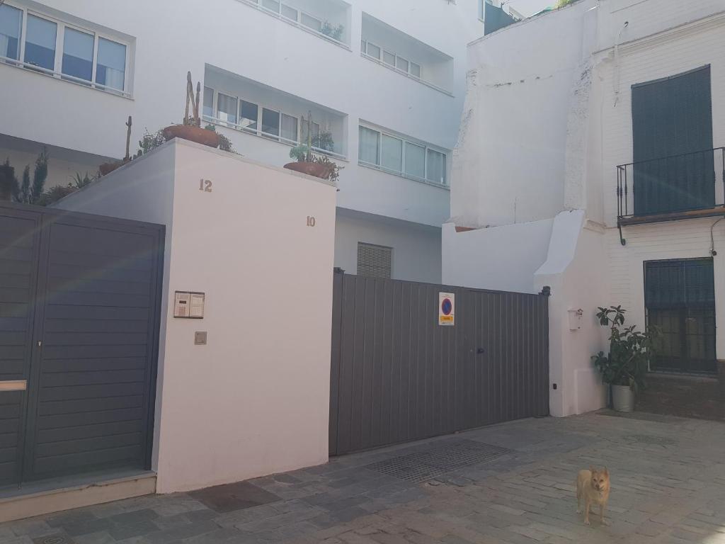 Lolitas house Alhambra, Seville – Updated 2023 Prices
