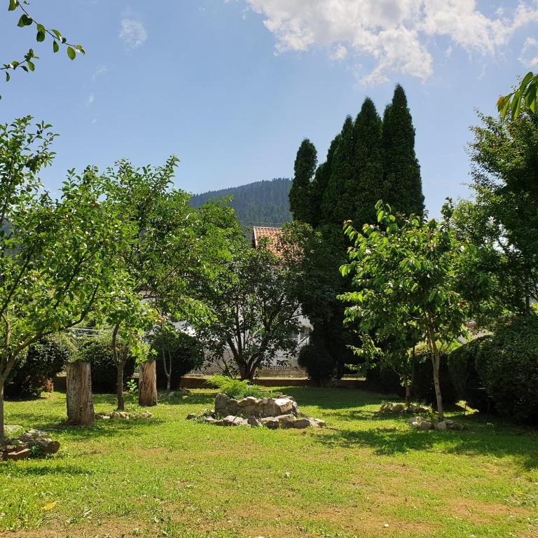 a park with trees and rocks in the grass at La Cuib in Câmpulung Moldovenesc