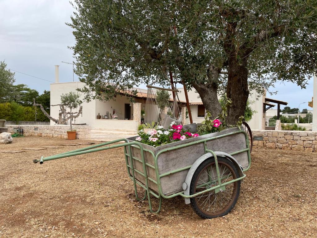 Zahrada ubytování Grano Arso Appartamento Turistico