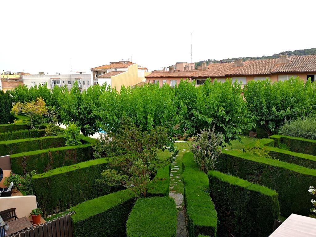 Vonkajšia záhrada v ubytovaní LLOGUER30 Apartamento Lotus, piscina y parquing