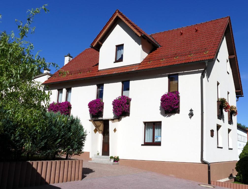 a white house with flowers on the windows at 4 Sterne Ferienwohnung Sorbitztal in Rohrbach