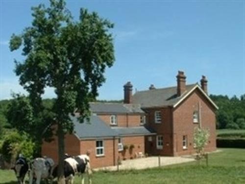 Mill Farm in Kenton, Devon, England