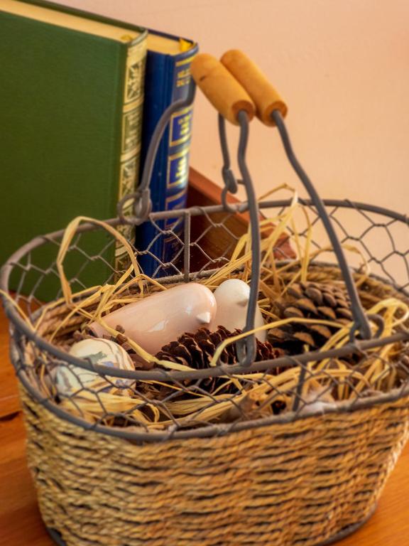 Les Chambres de la Weiss – photo 21