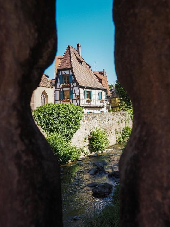 Les Chambres de la Weiss – photo 37