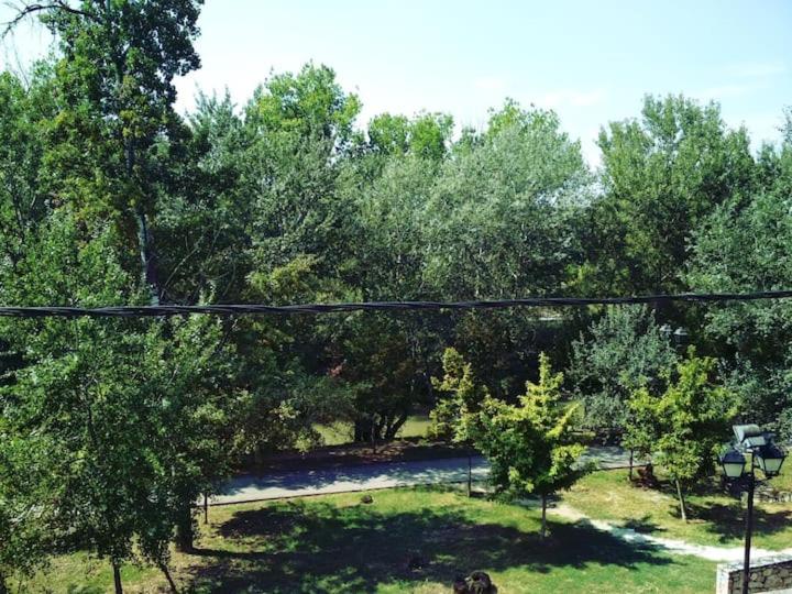 uma vista para um parque com árvores e uma rua em Larisa, Park view apartment em Lárissa