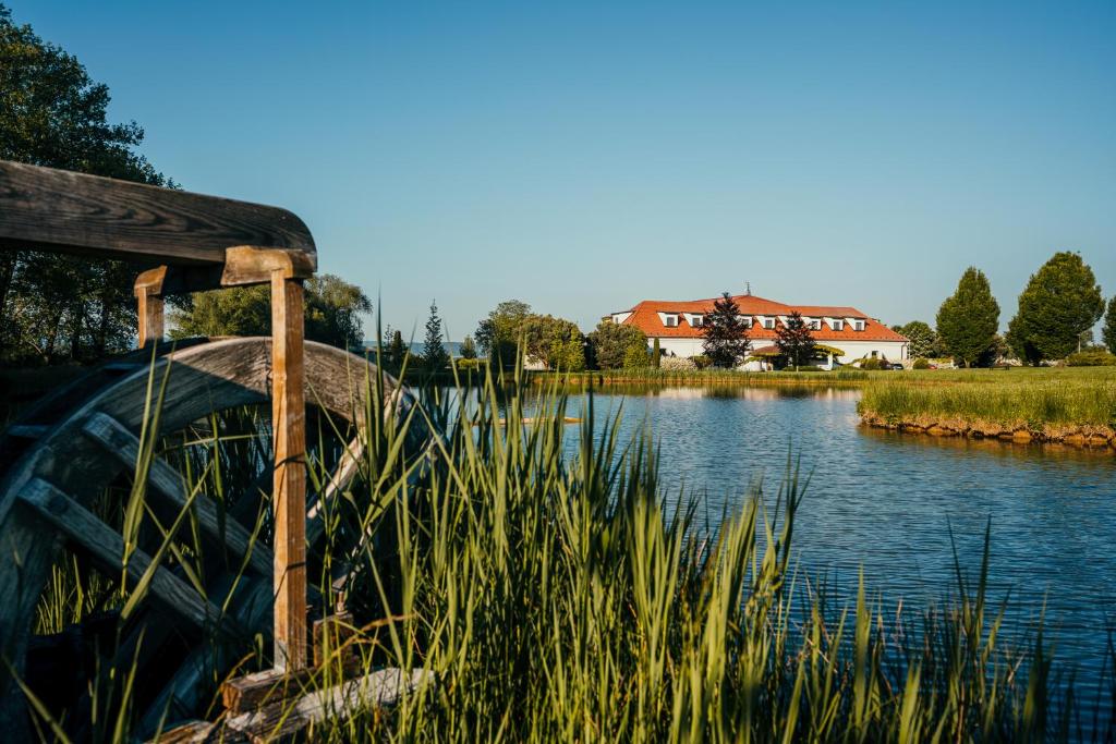 Příroda nedaleko hotelu