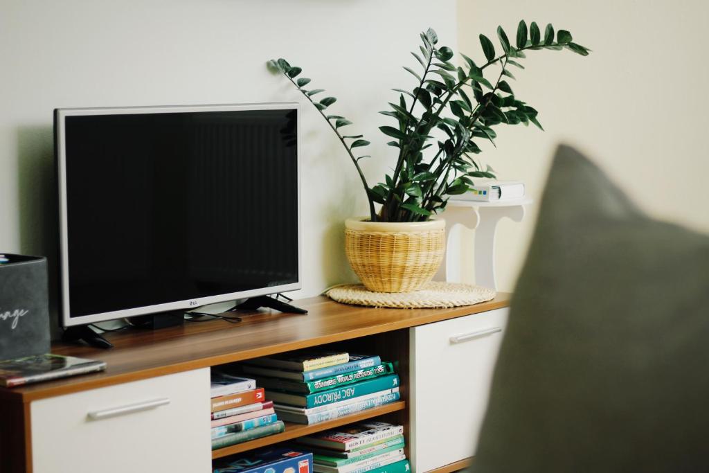 TV a/nebo společenská místnost v ubytování Apartmán "Pod Rokem"