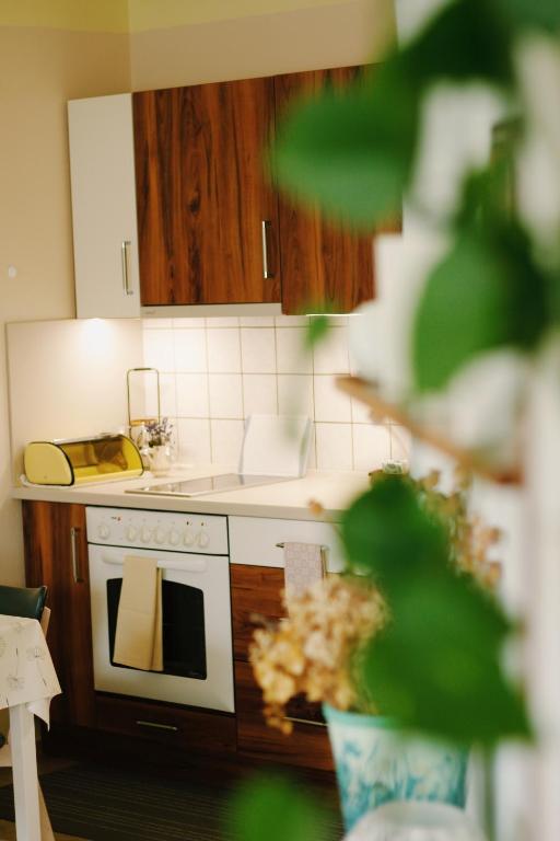 Kuchyň nebo kuchyňský kout v ubytování Apartmán "Pod Rokem"