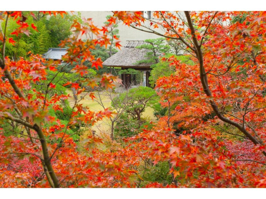 Dogo Onsen Funaya - Vacation STAY 54212vにある庭