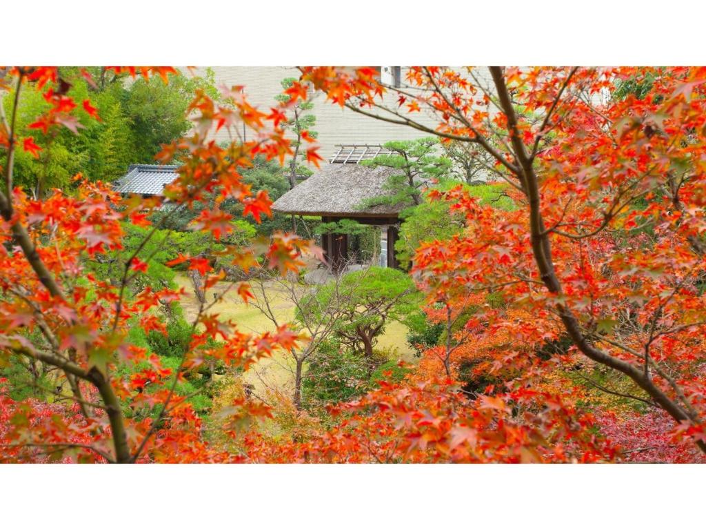 Dogo Onsen Funaya - Vacation STAY 54212vにある庭