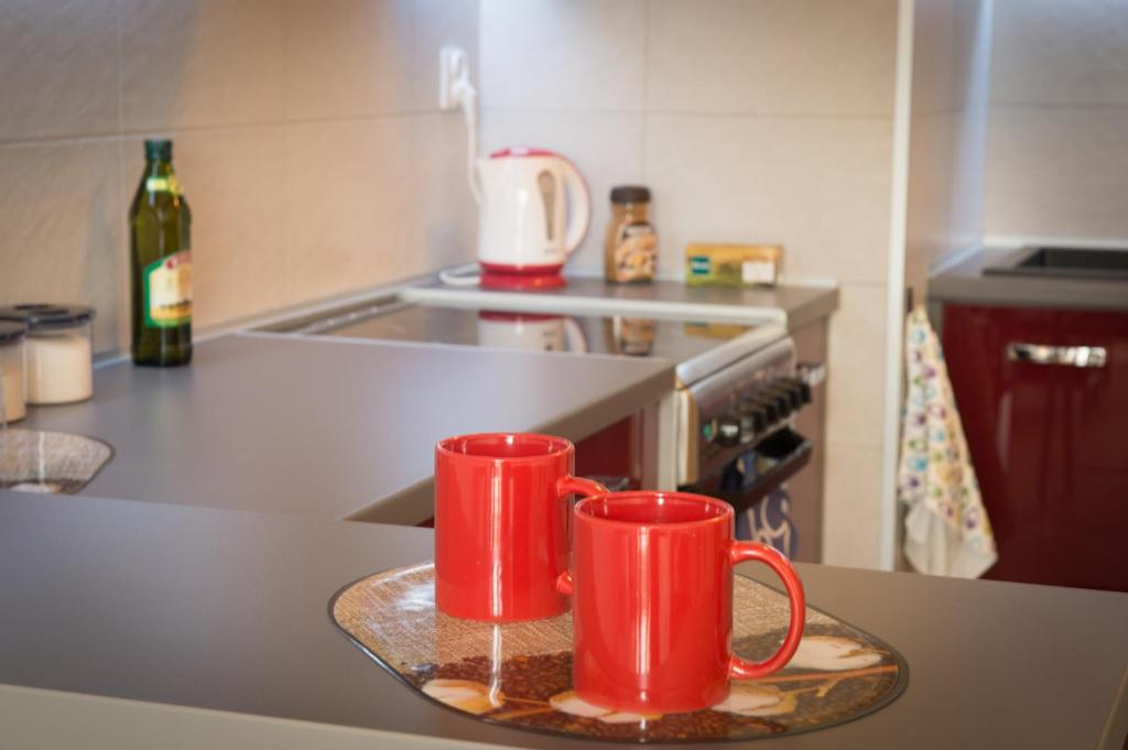 Kuchyňa alebo kuchynka v ubytovaní Słoneczny Apartament