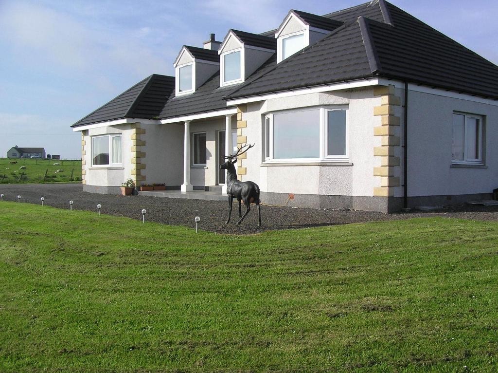 a deer standing in front of a house at The Antlers in Lybster