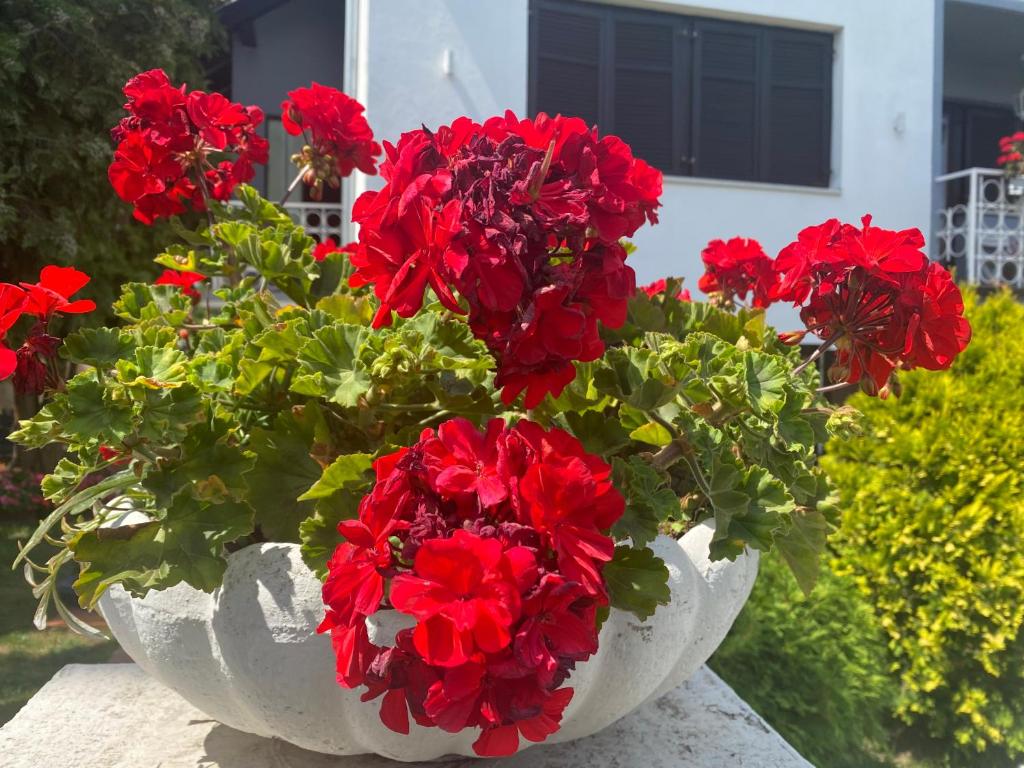 Apartman Mia