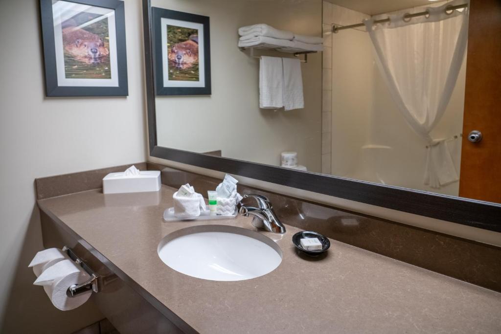 Pocaterra Inn & Waterslide - Resim 24