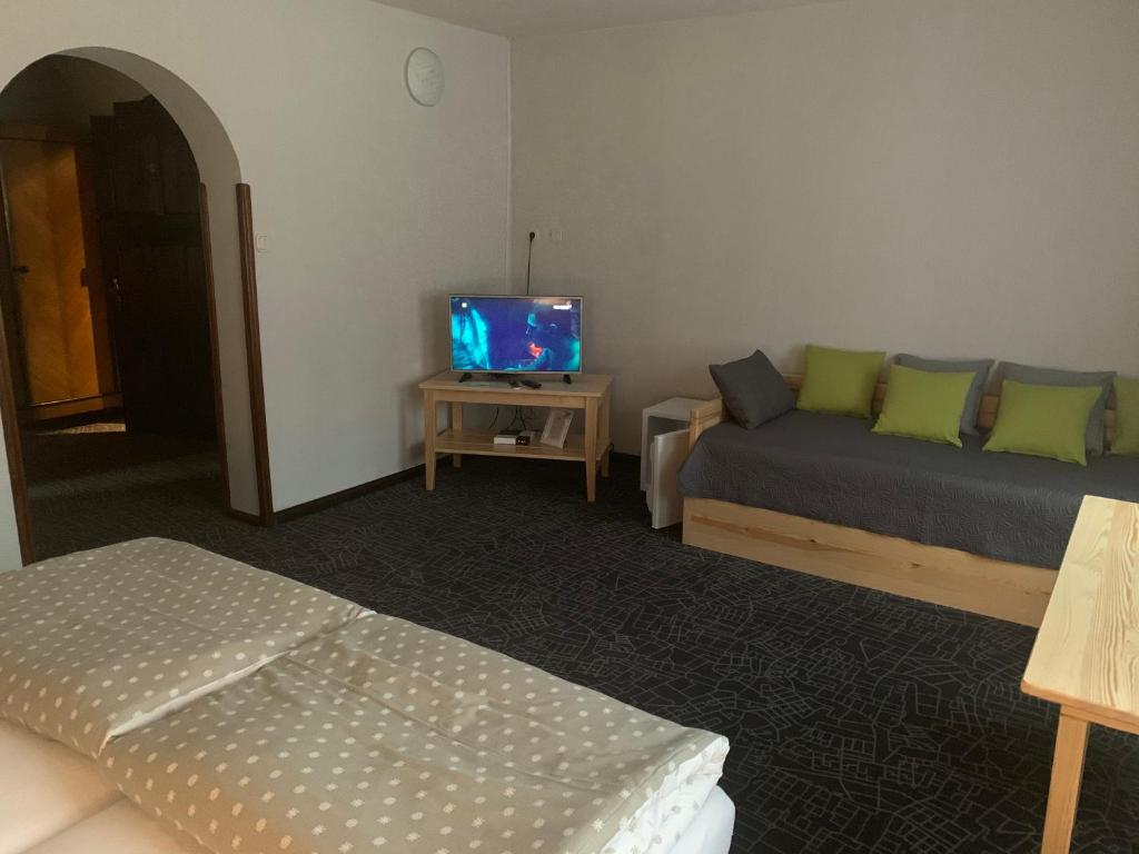 Televízia a/alebo spoločenská miestnosť v ubytovaní Łomniczanka