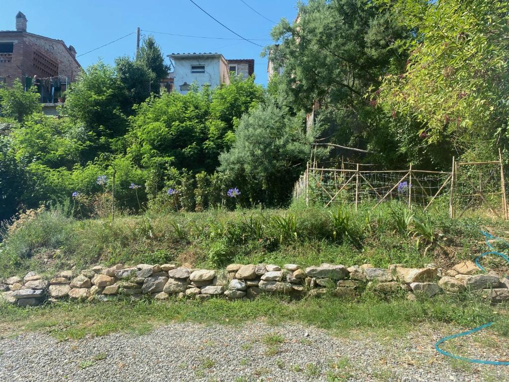 Vonkajšia záhrada v ubytovaní Dolce Vita in Tuscany B&B