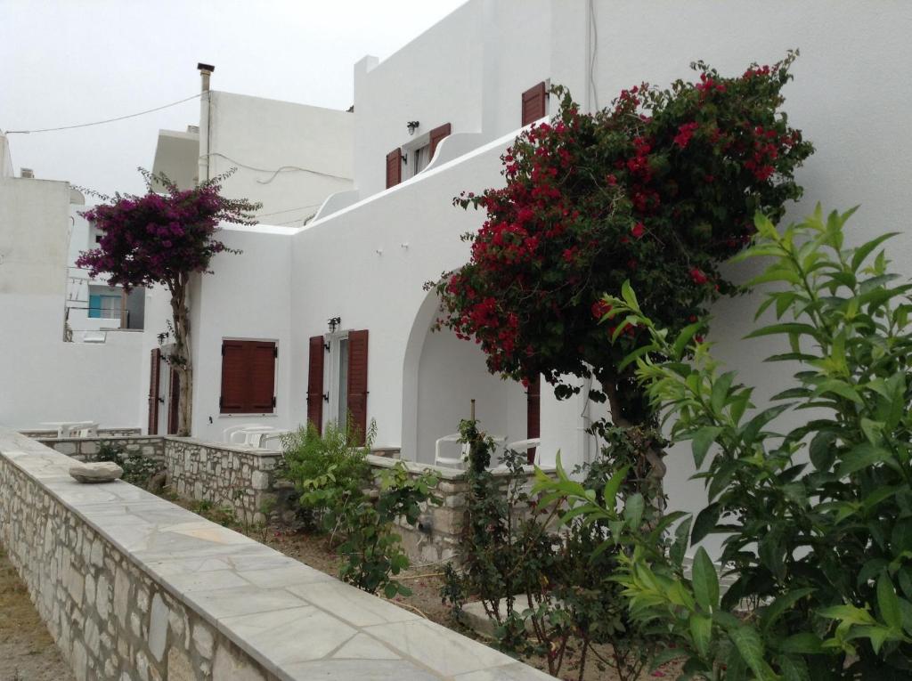 Irene Hotel - Beachfront - 9