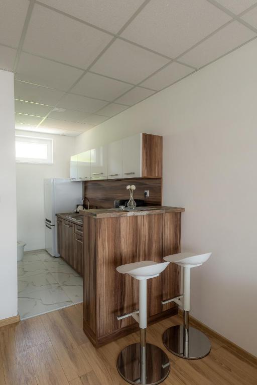 Kuchyň nebo kuchyňský kout v ubytování Apartmany Motocentrum